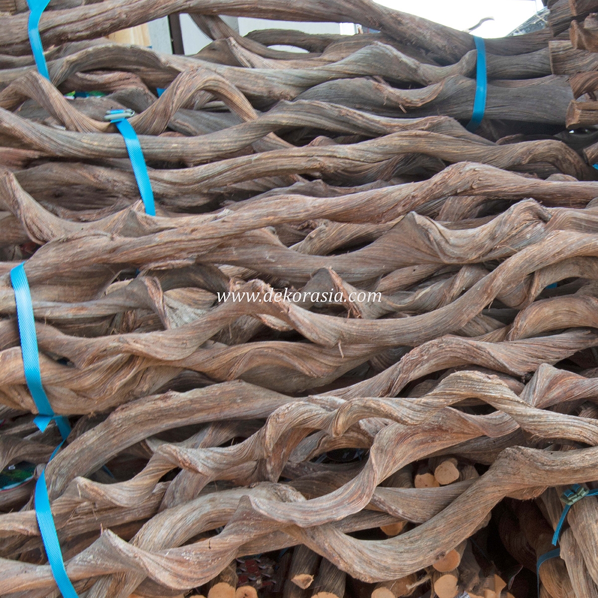 Kasela Vines Wood - Java Wood For Cage